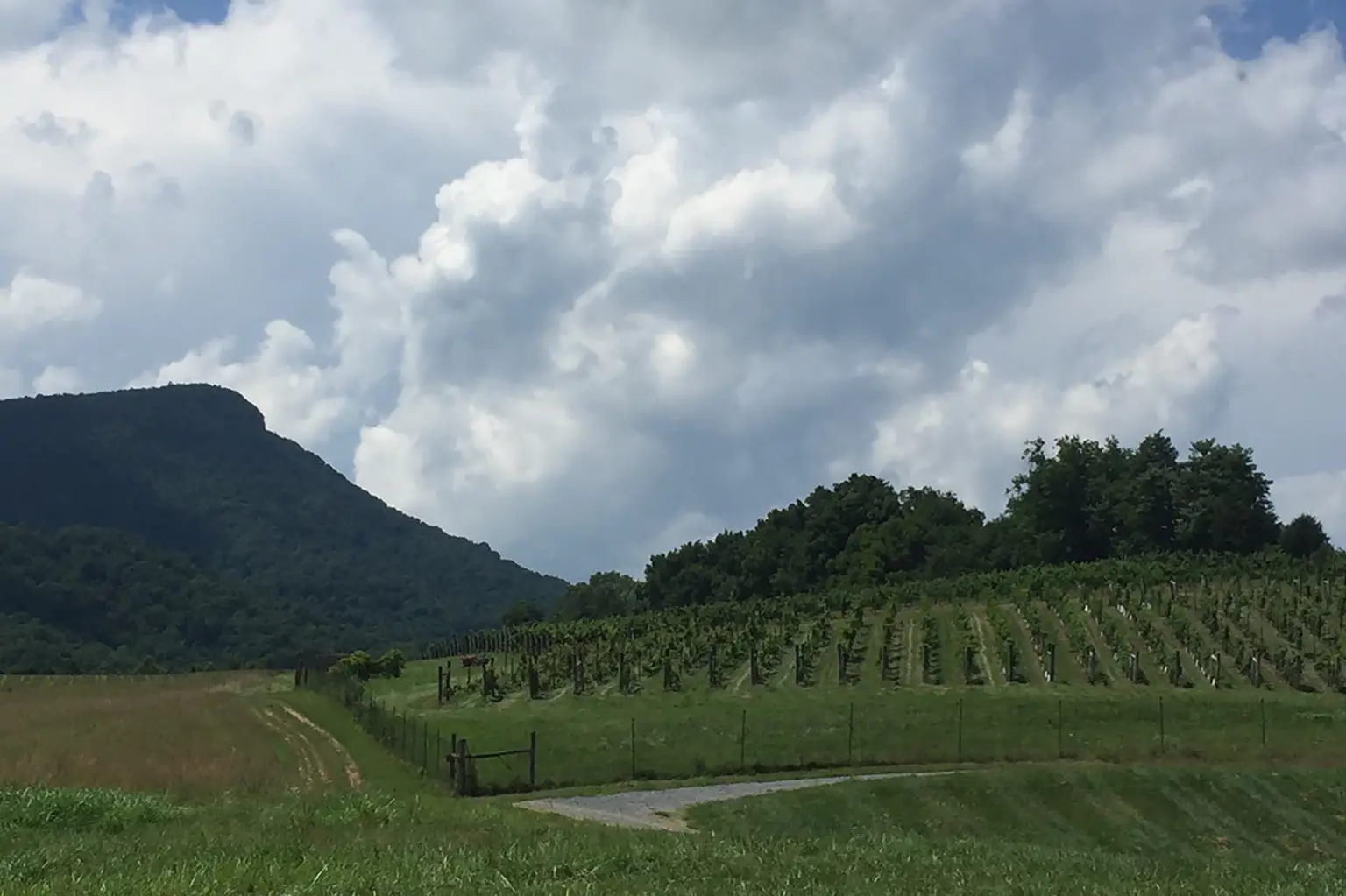road winds between hills up to Jump Mountain Vineyard tasting room