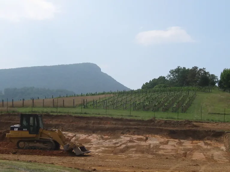 bulldozer clearing land for the tasting room
